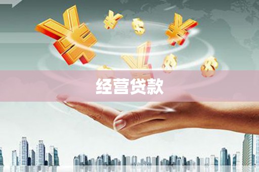南乐经营贷款