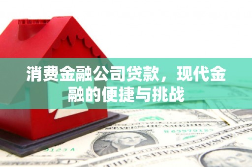 南乐消费金融公司贷款，现代金融的便捷与挑战