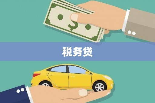 南乐税务贷