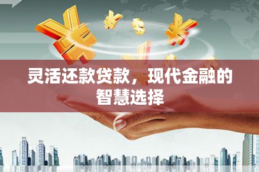 南乐灵活还款贷款，现代金融的智慧选择