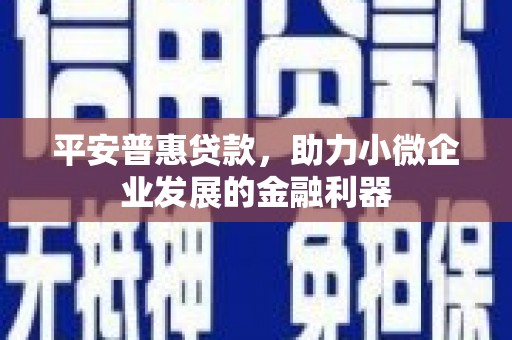 南乐平安普惠贷款，助力小微企业发展的金融利器