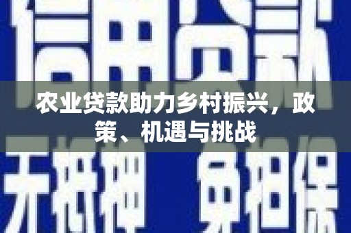 南乐农业贷款助力乡村振兴，政策、机遇与挑战