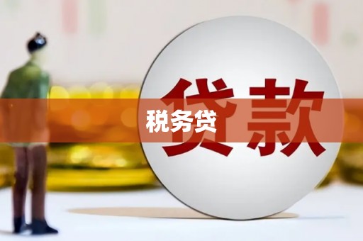 南乐税务贷