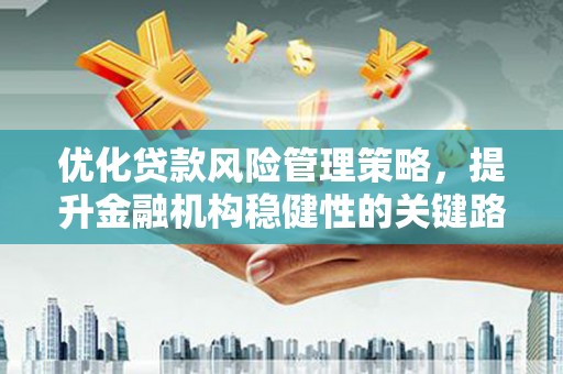 南乐优化贷款风险管理策略，提升金融机构稳健性的关键路径