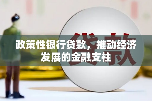南乐政策性银行贷款，推动经济发展的金融支柱