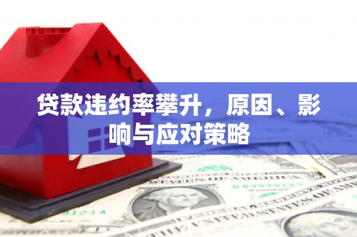 南乐贷款违约率攀升，原因、影响与应对策略