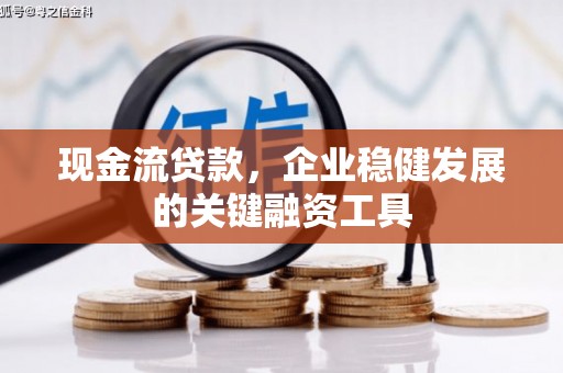 南乐现金流贷款，企业稳健发展的关键融资工具