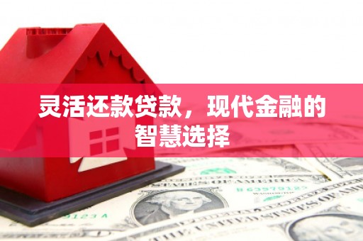 南乐灵活还款贷款，现代金融的智慧选择