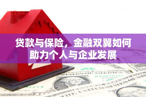 南乐贷款与保险，金融双翼如何助力个人与企业发展