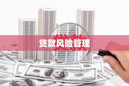 南乐贷款风险管理