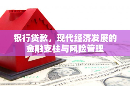 南乐银行贷款，现代经济发展的金融支柱与风险管理