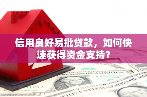 南乐信用良好易批贷款，如何快速获得资金支持？