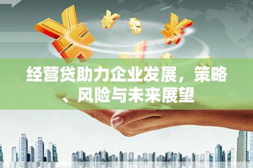 南乐经营贷助力企业发展，策略、风险与未来展望