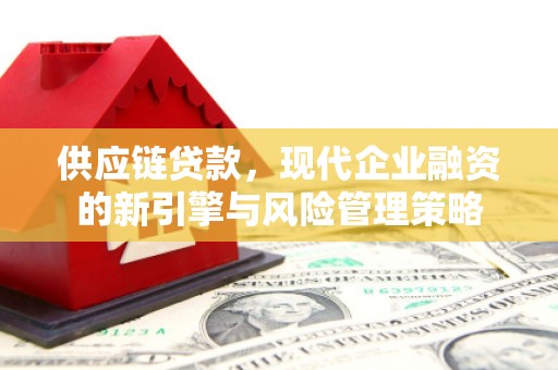 南乐供应链贷款，现代企业融资的新引擎与风险管理策略