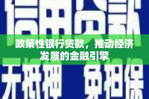 南乐政策性银行贷款，推动经济发展的金融引擎