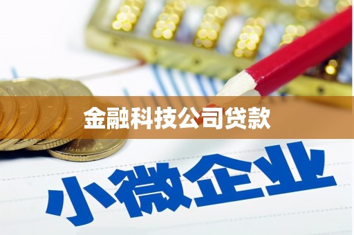南乐金融科技公司贷款