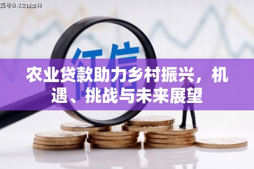南乐农业贷款助力乡村振兴，机遇、挑战与未来展望