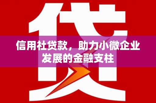 南乐信用社贷款，助力小微企业发展的金融支柱
