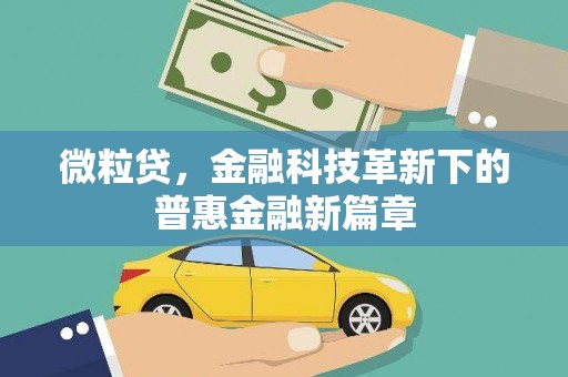 南乐微粒贷，金融科技革新下的普惠金融新篇章