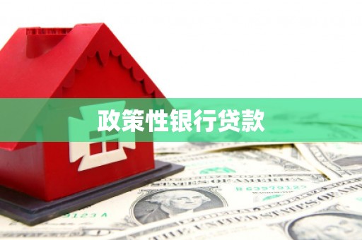 南乐政策性银行贷款