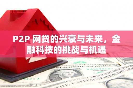 南乐P2P 网贷的兴衰与未来，金融科技的挑战与机遇