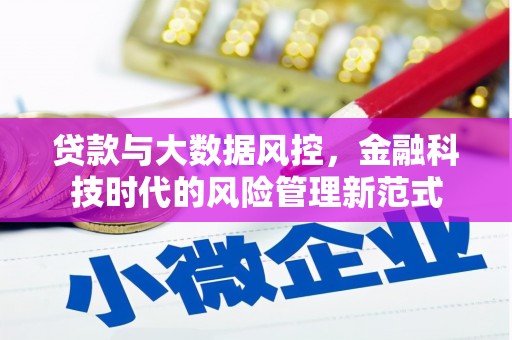 南乐贷款与大数据风控，金融科技时代的风险管理新范式