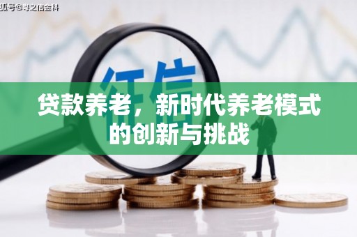 南乐贷款养老，新时代养老模式的创新与挑战