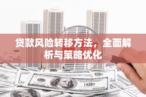 南乐贷款风险转移方法，全面解析与策略优化