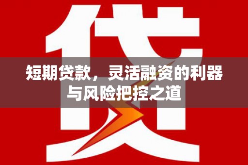 南乐短期贷款，灵活融资的利器与风险把控之道