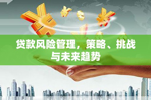 南乐贷款风险管理，策略、挑战与未来趋势