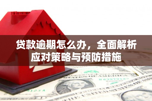 南乐贷款逾期怎么办，全面解析应对策略与预防措施