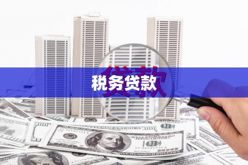 南乐税务贷款