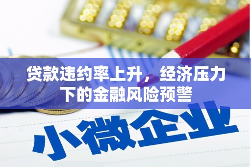 南乐贷款违约率上升，经济压力下的金融风险预警