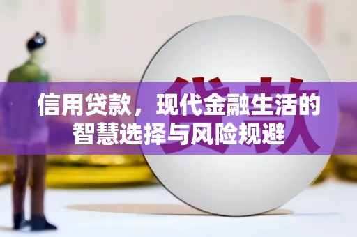 南乐信用贷款，现代金融生活的智慧选择与风险规避