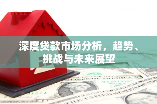南乐深度贷款市场分析，趋势、挑战与未来展望