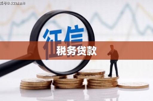南乐税务贷款
