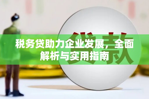 南乐税务贷助力企业发展，全面解析与实用指南