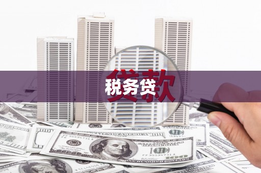 南乐税务贷