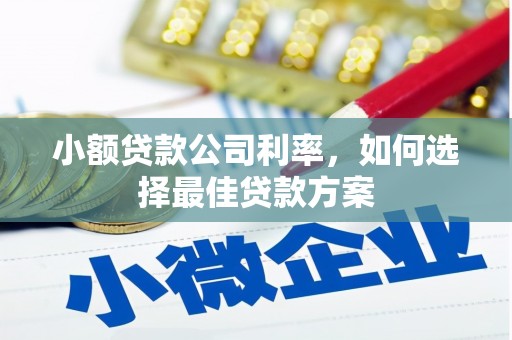 南乐小额贷款公司利率，如何选择最佳贷款方案