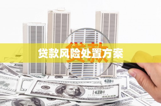 南乐贷款风险处置方案