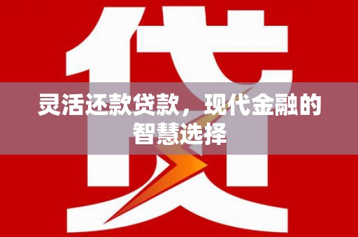 南乐灵活还款贷款，现代金融的智慧选择