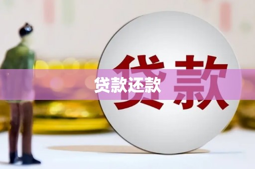 南乐贷款还款