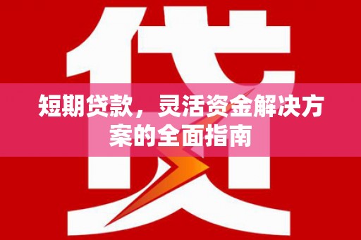 南乐短期贷款，灵活资金解决方案的全面指南