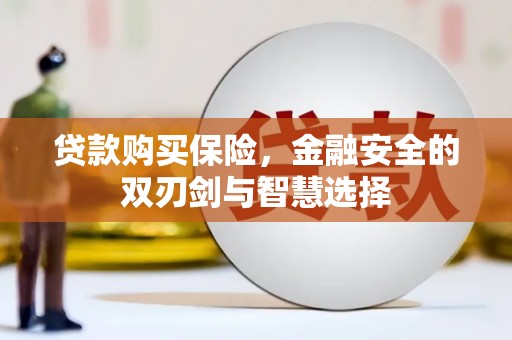 南乐贷款购买保险，金融安全的双刃剑与智慧选择