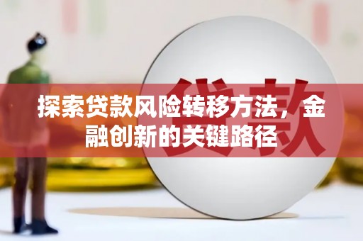 南乐探索贷款风险转移方法，金融创新的关键路径
