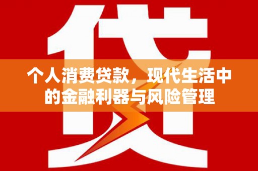 南乐个人消费贷款，现代生活中的金融利器与风险管理