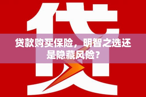 南乐贷款购买保险，明智之选还是隐藏风险？
