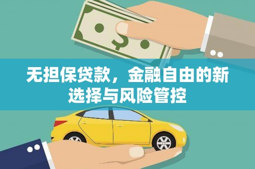 南乐无担保贷款，金融自由的新选择与风险管控