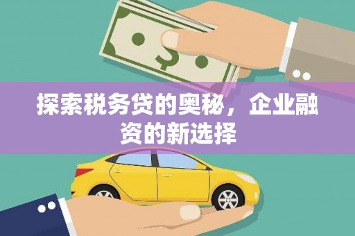 南乐探索税务贷的奥秘，企业融资的新选择