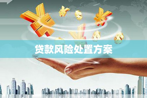南乐贷款风险处置方案